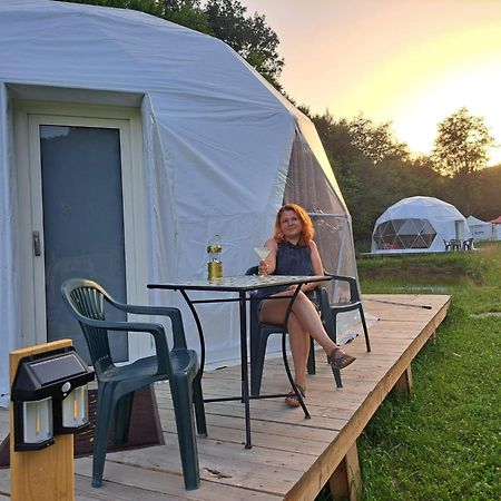 Forest Glamping براشوف المظهر الخارجي الصورة