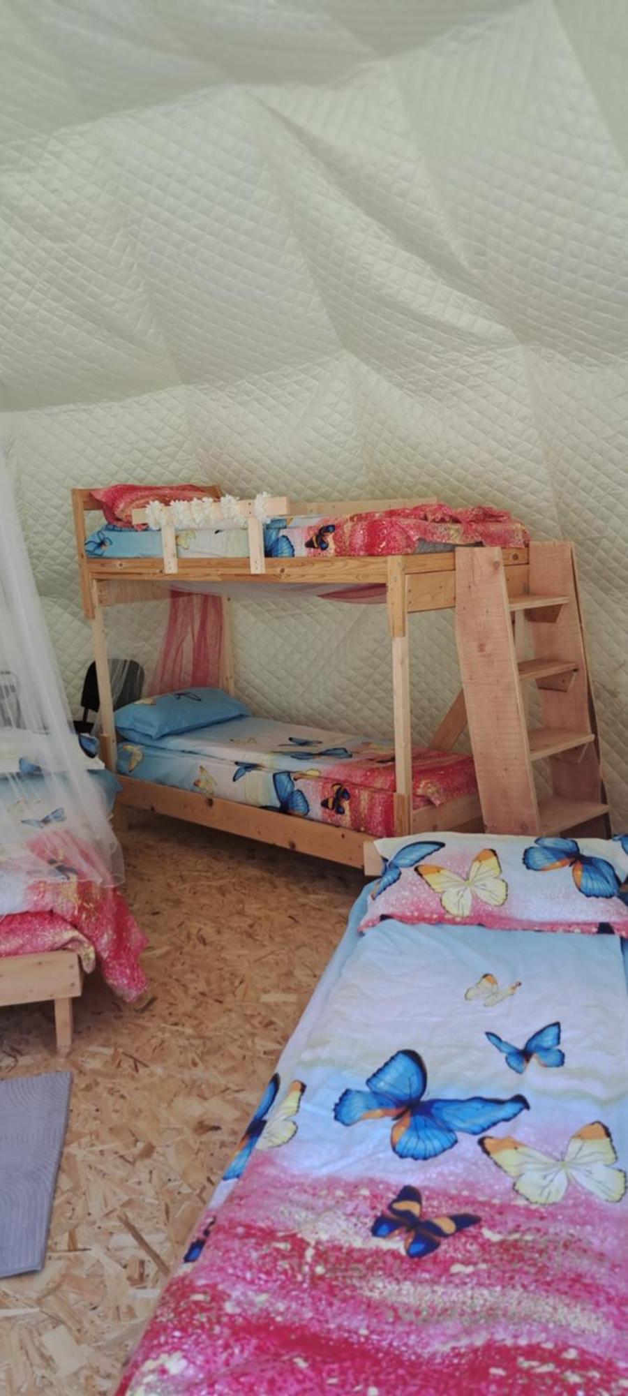Forest Glamping براشوف المظهر الخارجي الصورة
