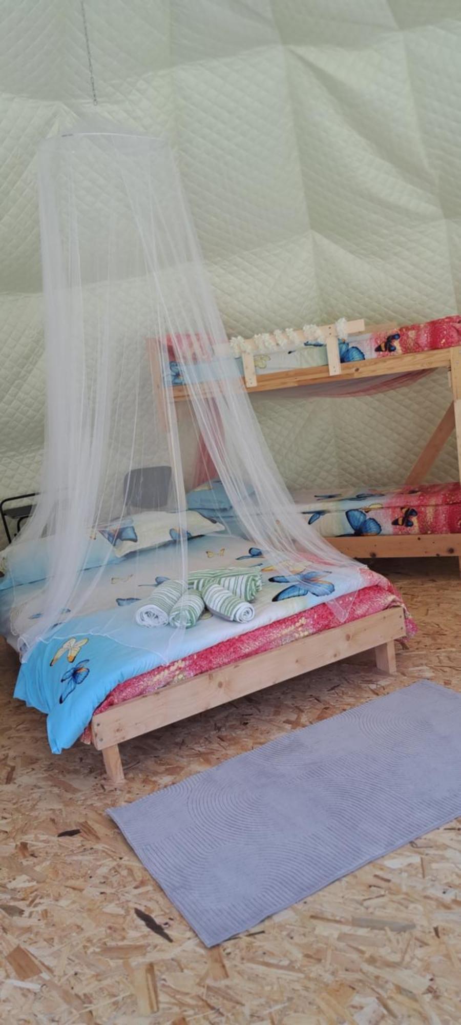 Forest Glamping براشوف المظهر الخارجي الصورة