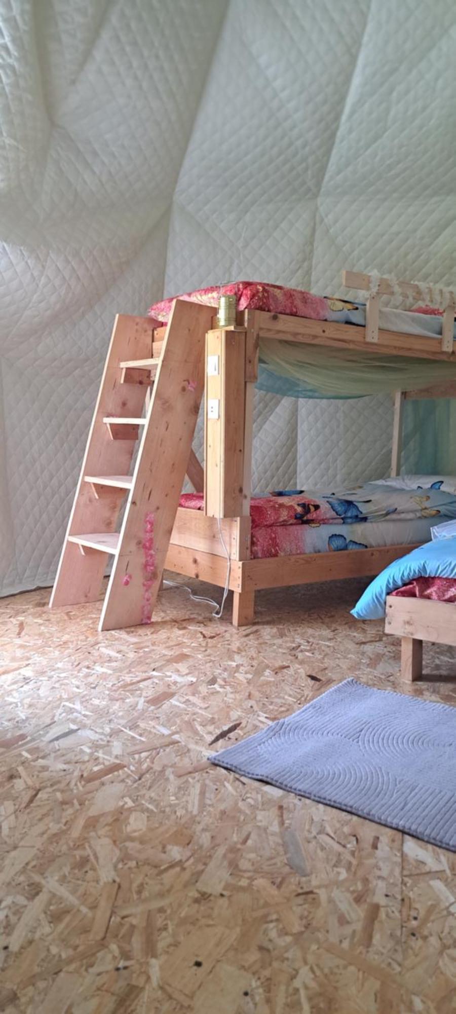 Forest Glamping براشوف المظهر الخارجي الصورة