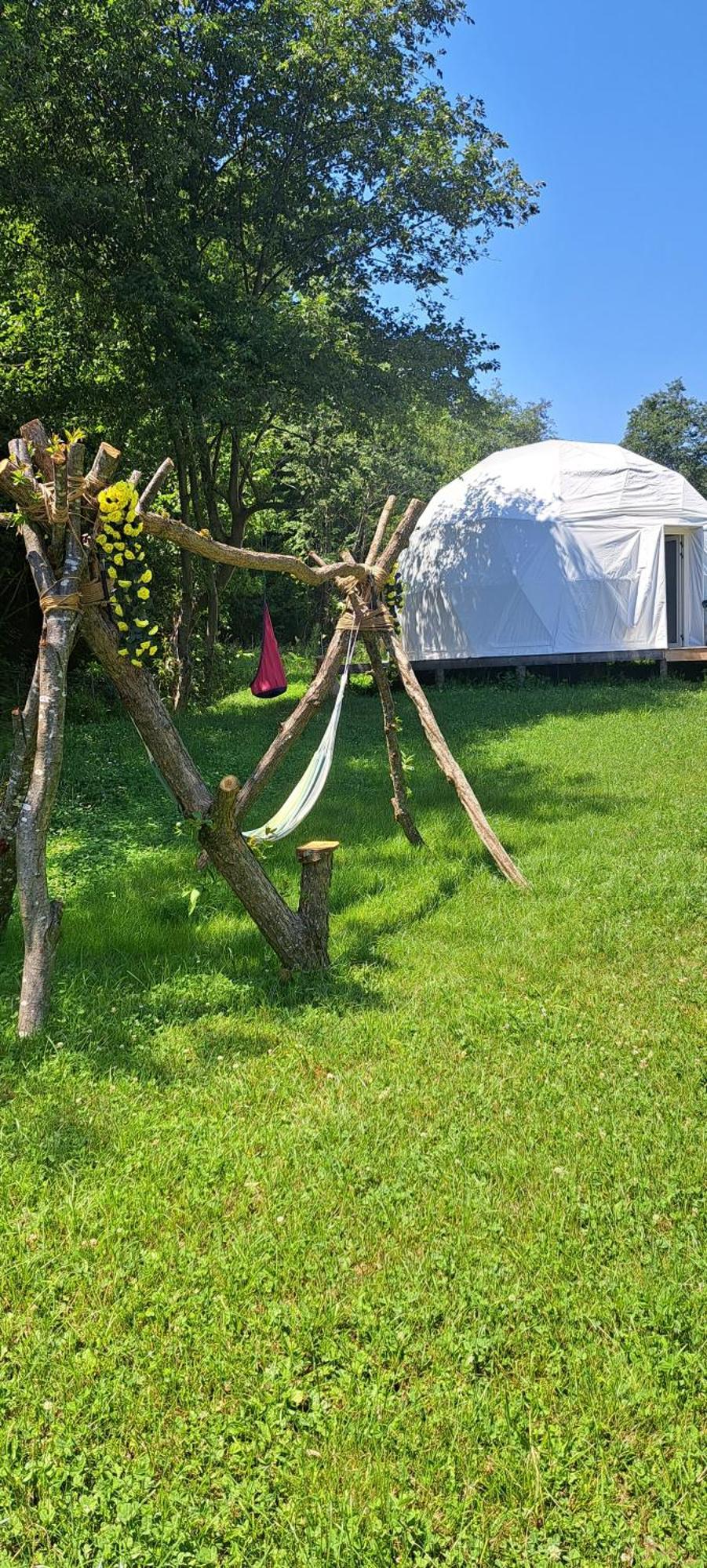 Forest Glamping براشوف المظهر الخارجي الصورة