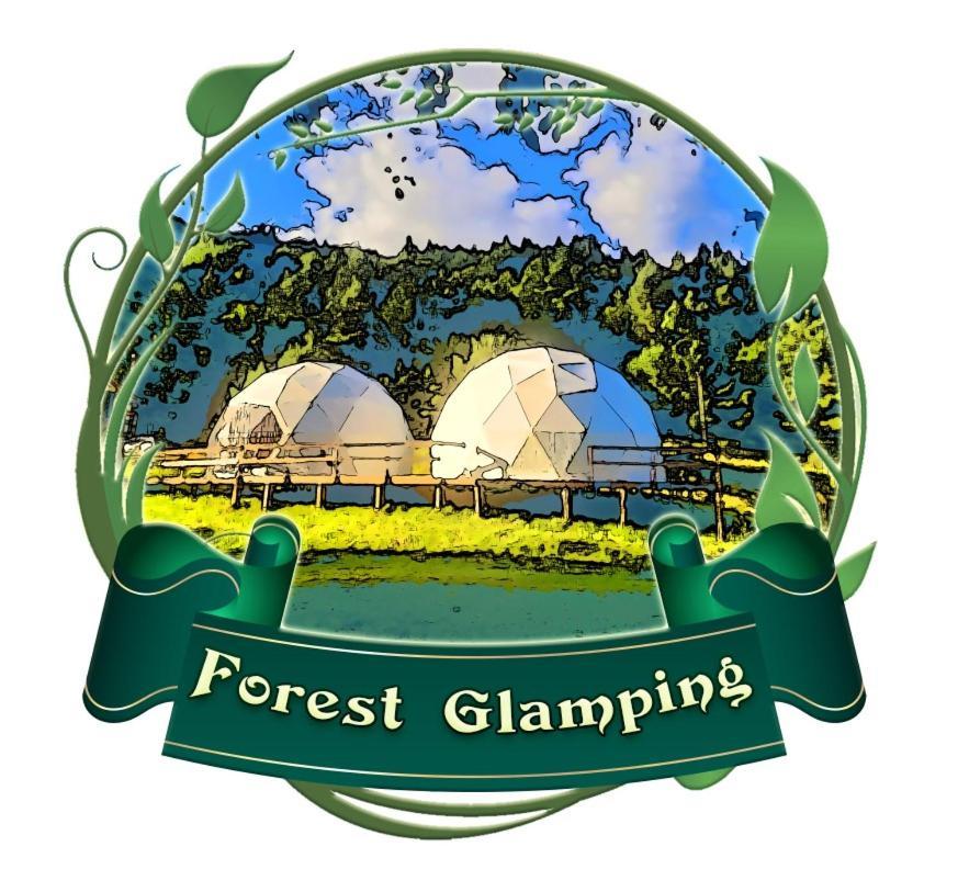 Forest Glamping براشوف المظهر الخارجي الصورة