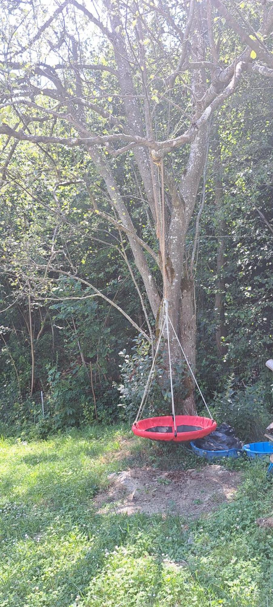 Forest Glamping براشوف المظهر الخارجي الصورة