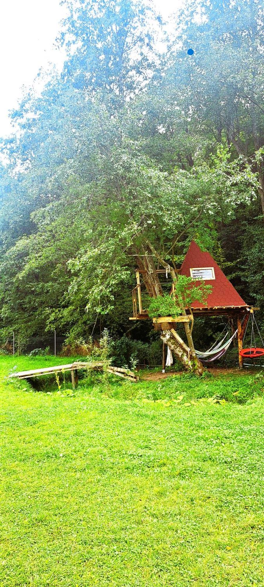 Forest Glamping براشوف المظهر الخارجي الصورة